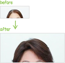 レディースウィッグ