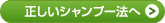 正しいシャンプー法へ
