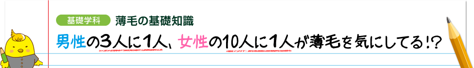 ［基礎学科］薄毛の基礎知識