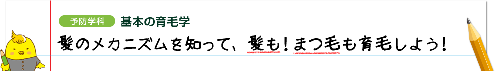 ［予防学科］基本の育毛学