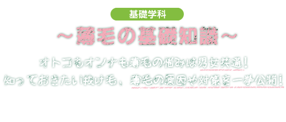 基礎学科 薄毛の基礎知識