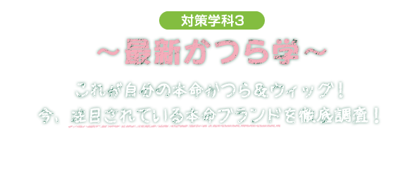 対策学科3 最新かつら学