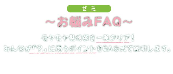 ゼミ お悩みFAQ