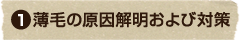 薄毛の原因解明および対策